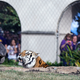 Photo via Gerald Herbert/AP